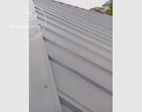Roof painting 