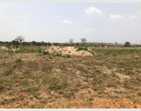 Safe Lands in Ho (Wayanu)