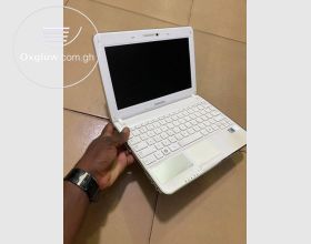 Samsung Mini Laptop