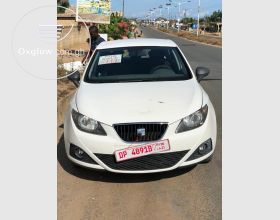 SEAT Ibiza 2012 Model