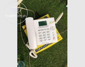 SQ LS 960 Wireless Telephone