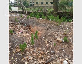 TITLED 2 PLOTS AT NORTH RIDGE, NEAR ALISA HOTELS
