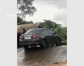 Toyota Corolla LE 2010 Model