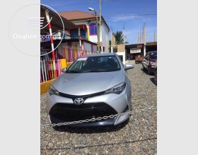 Toyota Corolla LE 2019 Model