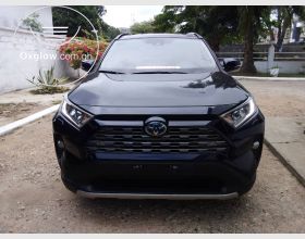 Toyota Rav4 Hybrid 2019 Model