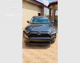 Toyota RAV4 XLE 2019 Model