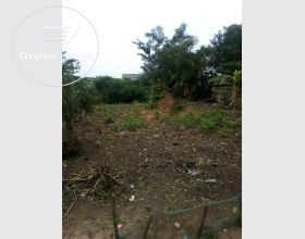 Two plots land for sale